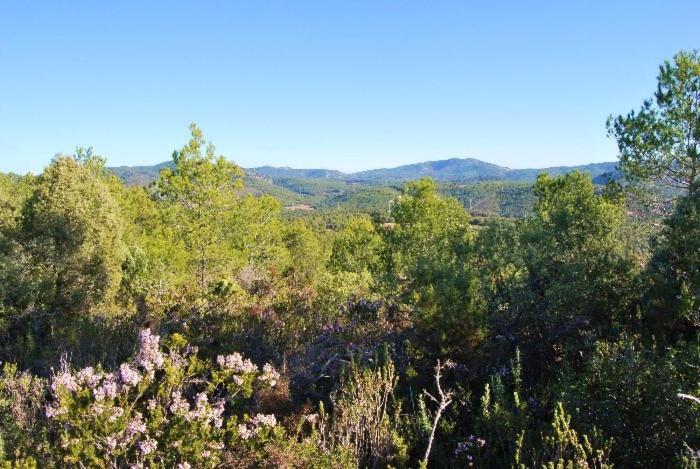 Can Maginet Avinyonet del Penedès Kültér fotó